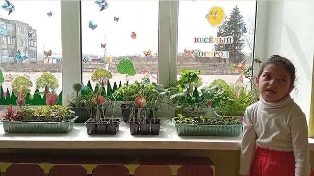 Посадили огород посмотрите, что растет! смотреть онлайн