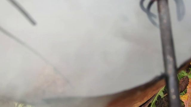 як я коптила сир і козячі ребра смотреть онлайн