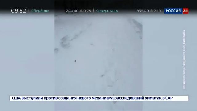 Екатерина Григорова 24.01.2018 09-50