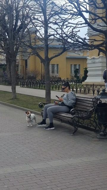 Кисловодск весной.#пятигорск #shorts