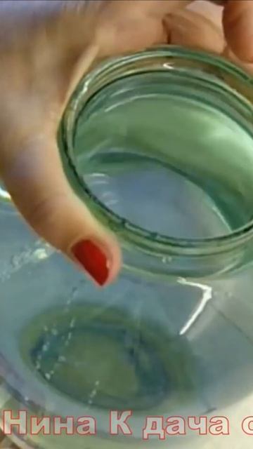 Кокосовый субстрат добавляю в грунт для рассады. Грунт становится воздухо и влагопроницаемым#shorts смотреть онлайн