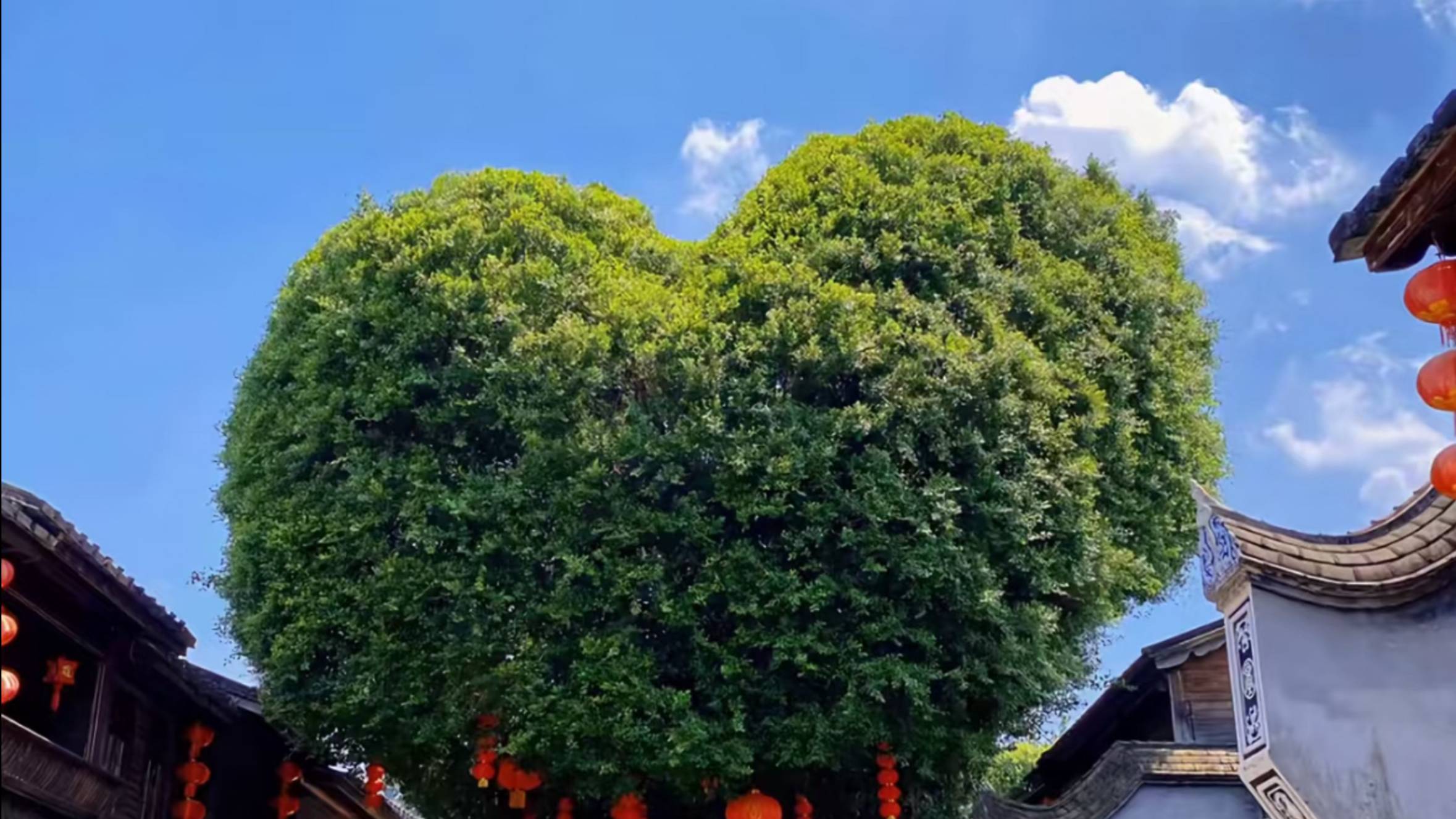 Фучжоу – скрытая жемчужина Китая! 🇨🇳 Улицы,еда, люди –ты не поверишь! #Китай #Фучжоу #Путешествия