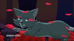 Синяя Звезда и Мошка#котывоители#мошка#смерть#синяязвезда#подпишись#подпишись