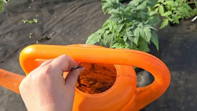 🔥 МЕГА-ПОДКОРМКА ДЛЯ ВЗРЫВНОГО РОСТА! смотреть онлайн