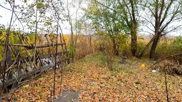 Славянск. 9 ноября 2024г. Утро. смотреть онлайн