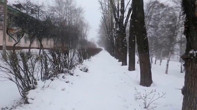 Погода каждый день Иркутск, Irkutsk, 04.03.2017, Снег, #mreporter смотреть онлайн