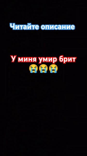 Я умею нормально писать это для ролика ну и ещё кого бесят такие видео ставьте лайк