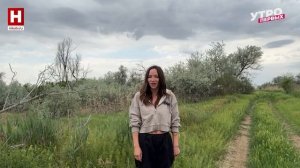 Репортаж из степей | ЗООМАНИЯ