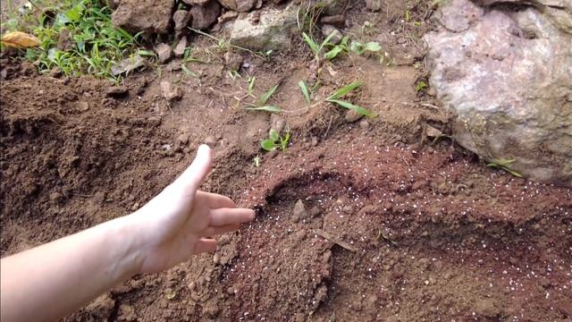 Моя обычная жизнь в Южной Корее / KOREA VLOG смотреть онлайн