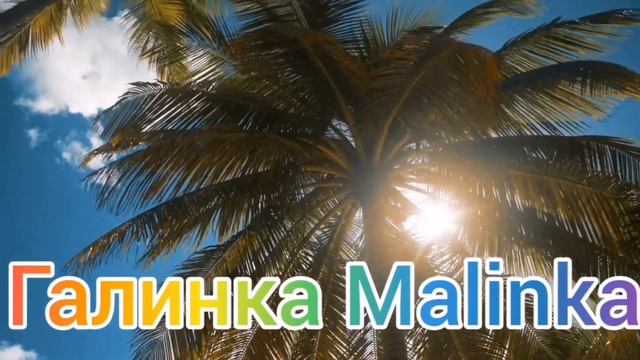 Сельчанка в Америке /Плохие новости /Случилось горе /Обзор /Selchanka V Amerike /Жизнь в США