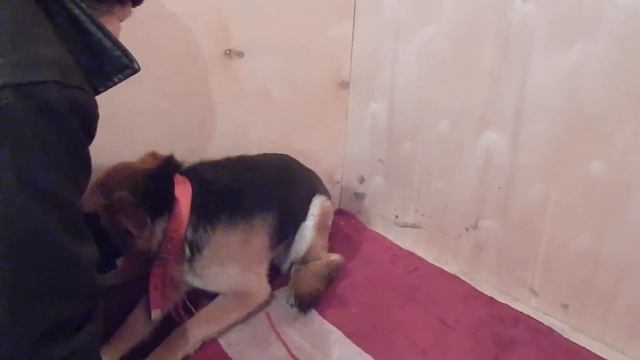 Аста ..-если жить Надеждой ...то она СБУДЕТСЯ! смотреть онлайн