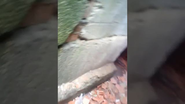 Лазаем по стройке Серия 1 Играем в ПРЯТКИ!!! смотреть онлайн