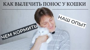 Как вылечить понос у кошки. Диарея у кота.
