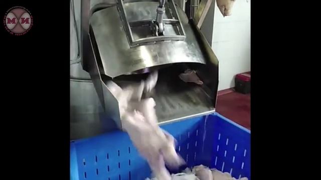 Центрифуга субпродуктов шерстных BW-WCD-10