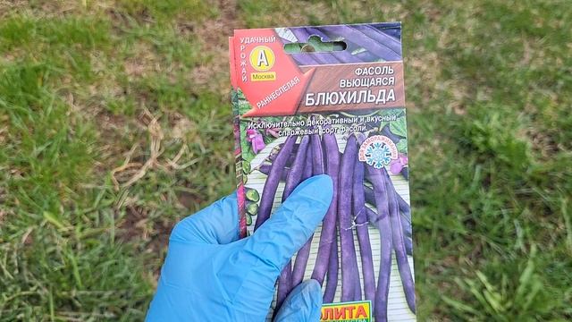 Сажаю лук картошку фасоль//Дачные будни смотреть онлайн