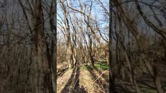 Окрестности Пятигорска, гора Бештау смотреть онлайн