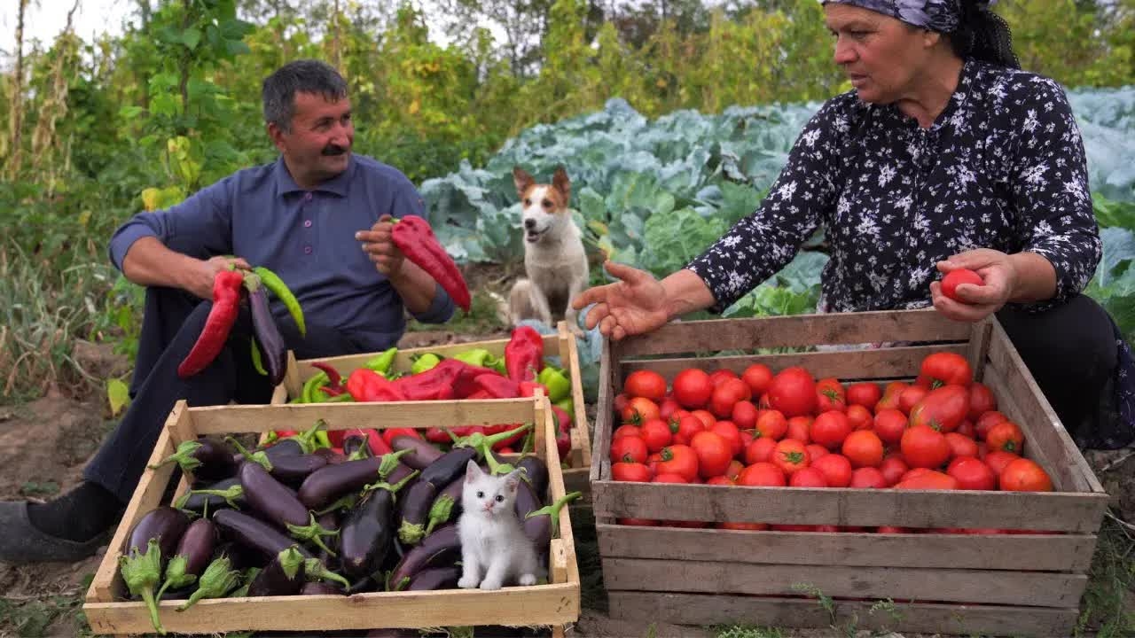 Овощной Салат на Углях | Заготовка на Зиму смотреть онлайн