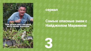 Самые опасные змеи с Найджелом Марвином 1 сезон 3 серия «США» (документальный сериал, 2014)