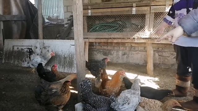 Ох, и уматалась я сегодня 🥴