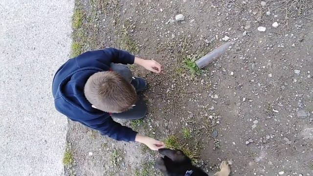 Берта играет с мальчиком