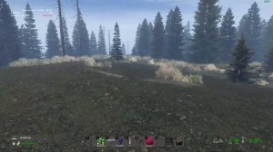 ❤ STREAM:  DayZ Неудержимые. ANOMALSK НЕ СОЛО