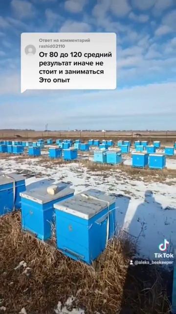 Сколько мёда приносит улей 🐝 смотреть онлайн