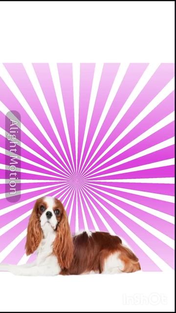 НОРА смотреть онлайн