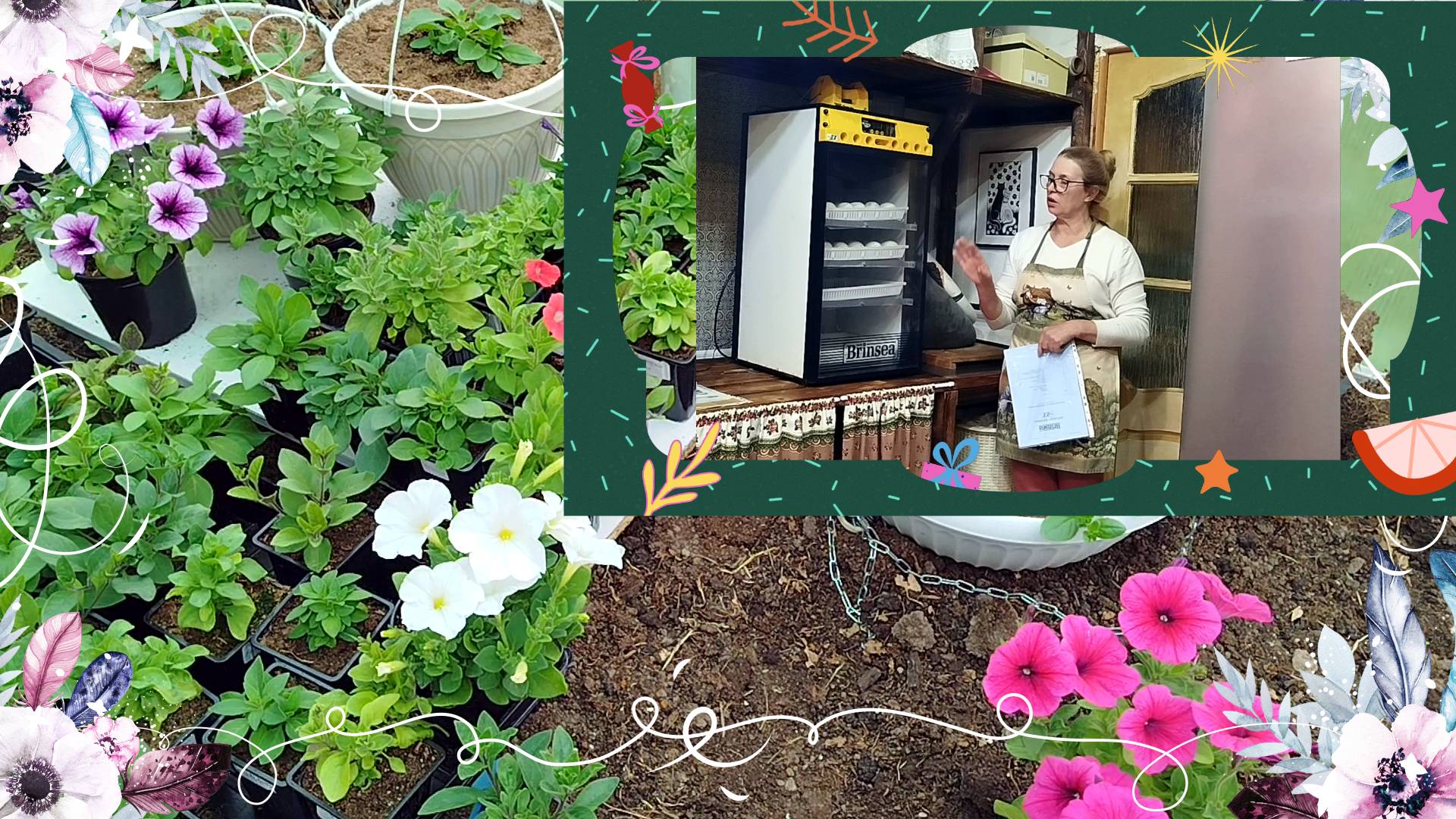 ЗАЛОЖИЛИ ГУСЕЙ ЗАКУПИЛИ РАССАДУ🌷🌼🪻 смотреть онлайн