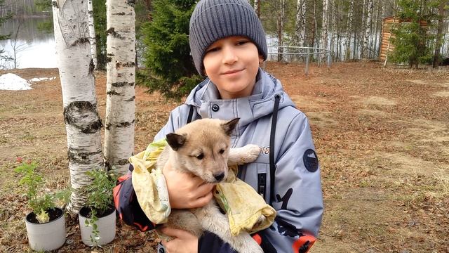 наш щенок - Марта смотреть онлайн