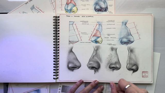 Курс «NOSE» старт 1 мая . Рисуем нос смотреть онлайн