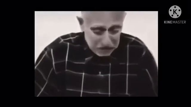 🕋Вохкъа стаги дешнаш🕋