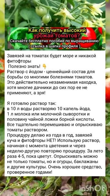 Советы по выращиванию томатов 🍅 смотреть онлайн