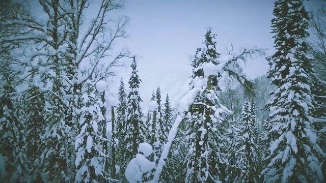 Поднебесные зубья.Район приюта Кузбасский, зима 2022 смотреть онлайн