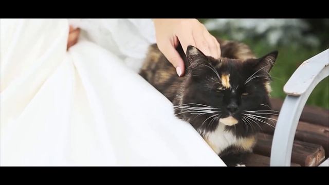 Сергей и Катя 25 августа 2017