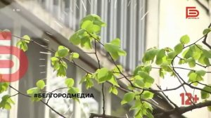 Начало эфира (Белгород 24, 31.05.2021)