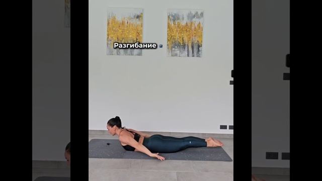 Упражнения для всего тела. Уменьшить напряжение в спине и плечах. Тренировка