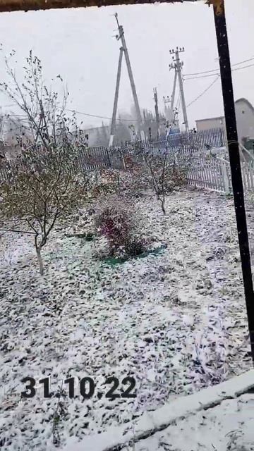 пошел снег 31 октября