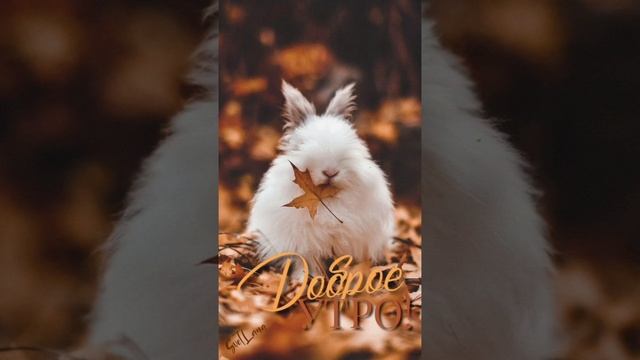 утра доброго! дня прекрасного смотреть онлайн