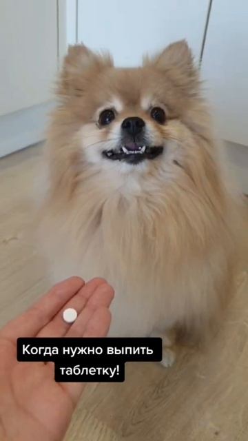 Что Бася думает на счёт таблеток?