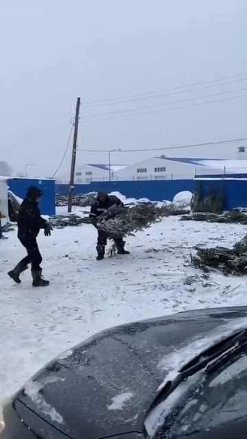 Замотал ёлку в Кемерово