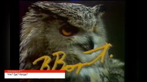 УГАДАЙ ТЕЛЕПЕРЕДАЧУ ПО ЗАСТАВКЕ