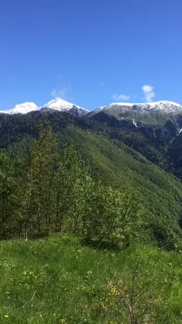 Сулимовка 1170 м. смотреть онлайн