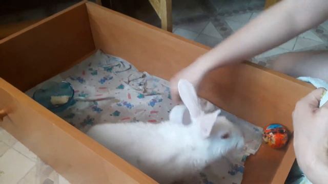 Наш снежок смотреть онлайн