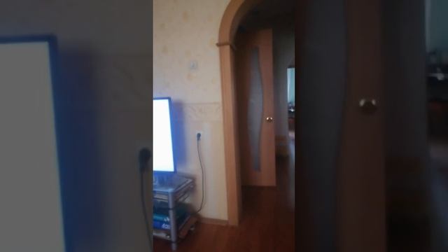 13 мая 2023 г. смотреть онлайн