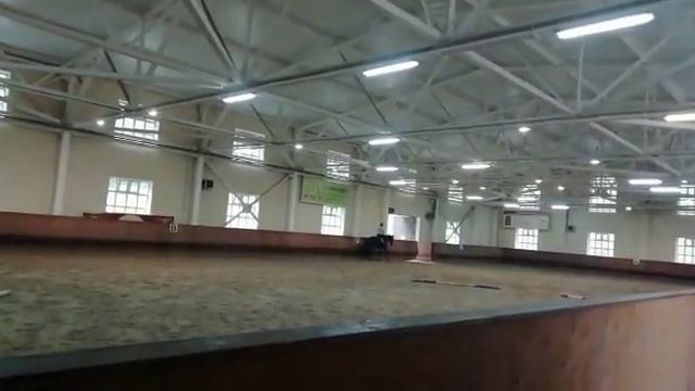 Первый раз на БОЛЬШОЙ ЛОШАДИ 😱🐴 смотреть онлайн