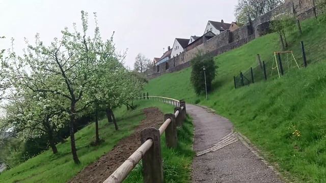 Бровченко. Ждут опеку? Обзор влогов. 09 07 2024 Бровченко смотреть онлайн