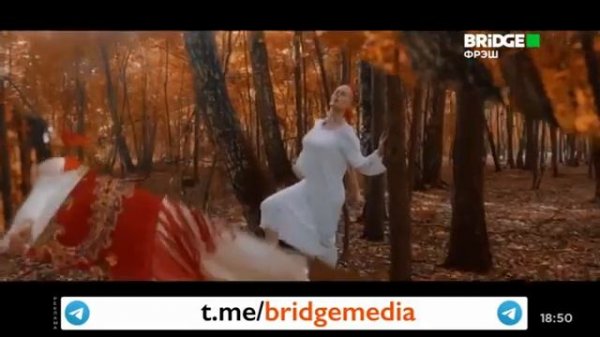 Клип "DO$HIK - Лиса" на Bridge Фрэш 26.02.2025