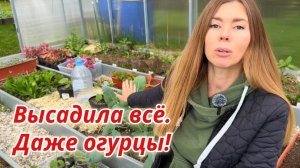 Что положить в лунку при высадке рассады. Можно ли мульчировать грядку после высадки