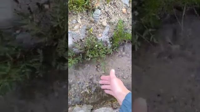 Джомолунгма (гора Эверест). Энергетическая сонастройка.