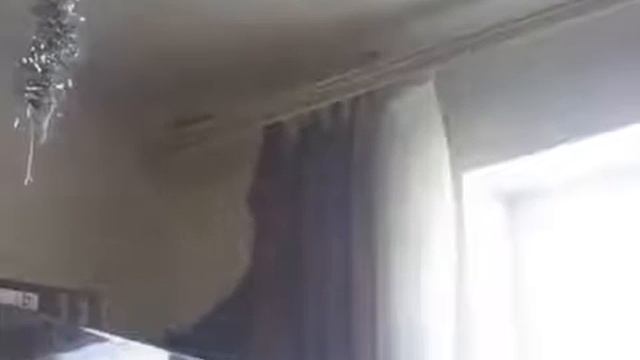 Кошка падает за шкаф Cat falls for the cabinet Юмор! Прикол! Смех смотреть онлайн